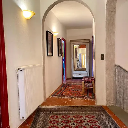 La Belle De Vila *